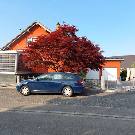 Sonnige Ferienwohnung Bei Familie Koehler Kappel-Grafenhausen Exterior photo